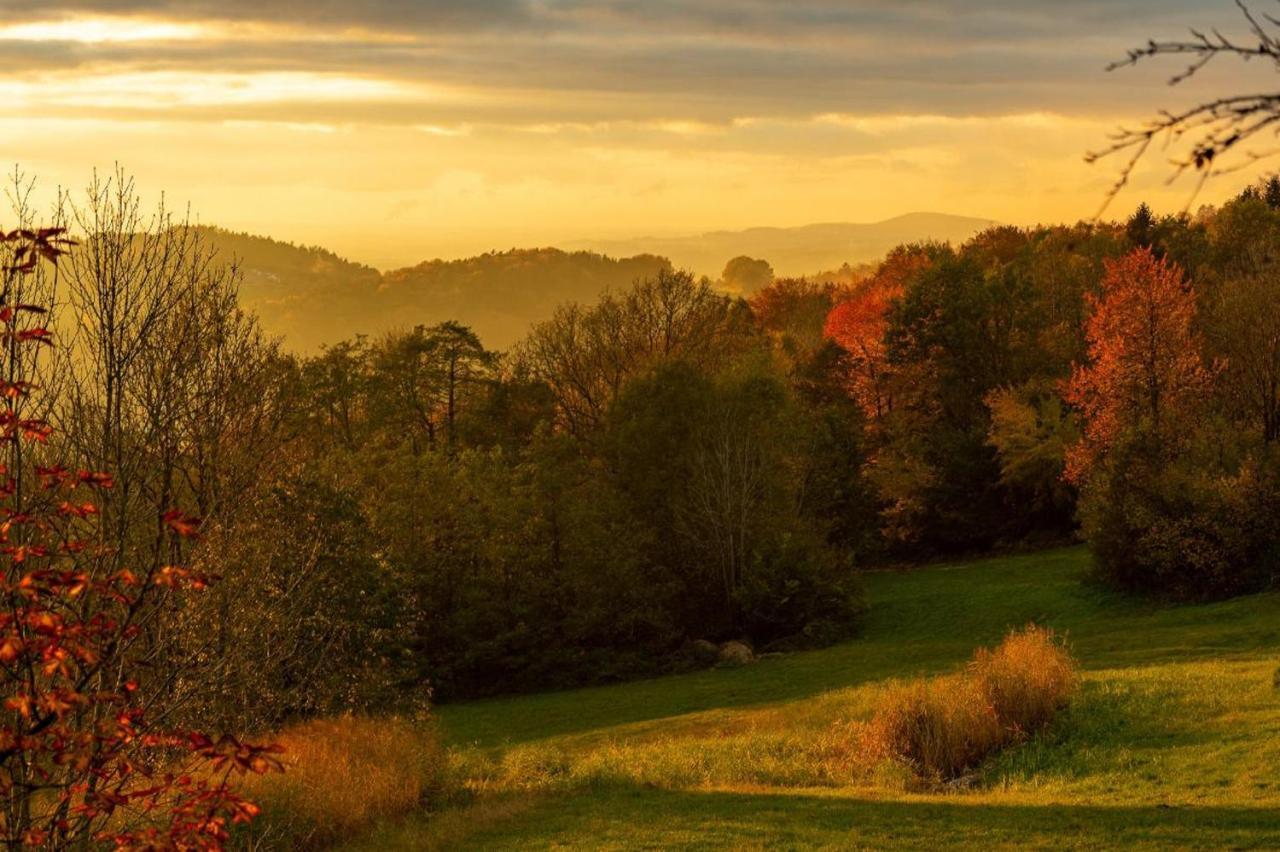 Ferienwohnungen Bauer - Auszeit Mit Ausblick Zenting Dış mekan fotoğraf