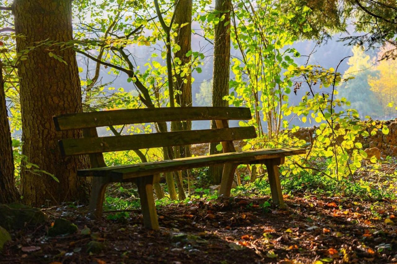 Ferienwohnungen Bauer - Auszeit Mit Ausblick Zenting Dış mekan fotoğraf