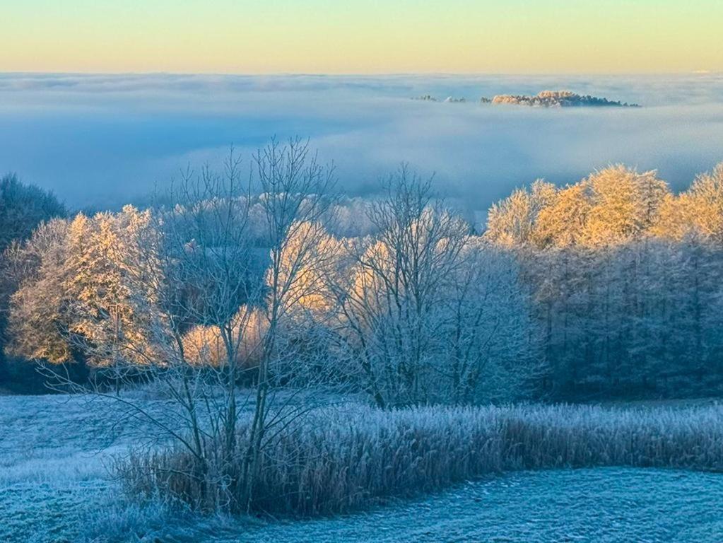 Ferienwohnungen Bauer - Auszeit Mit Ausblick Zenting Dış mekan fotoğraf